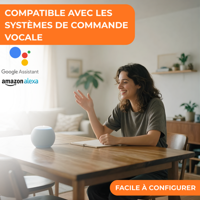 Alarme Maison 4G